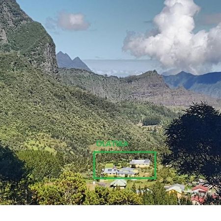 Olatika - Gite Des Cascades Cilaos Buitenkant foto