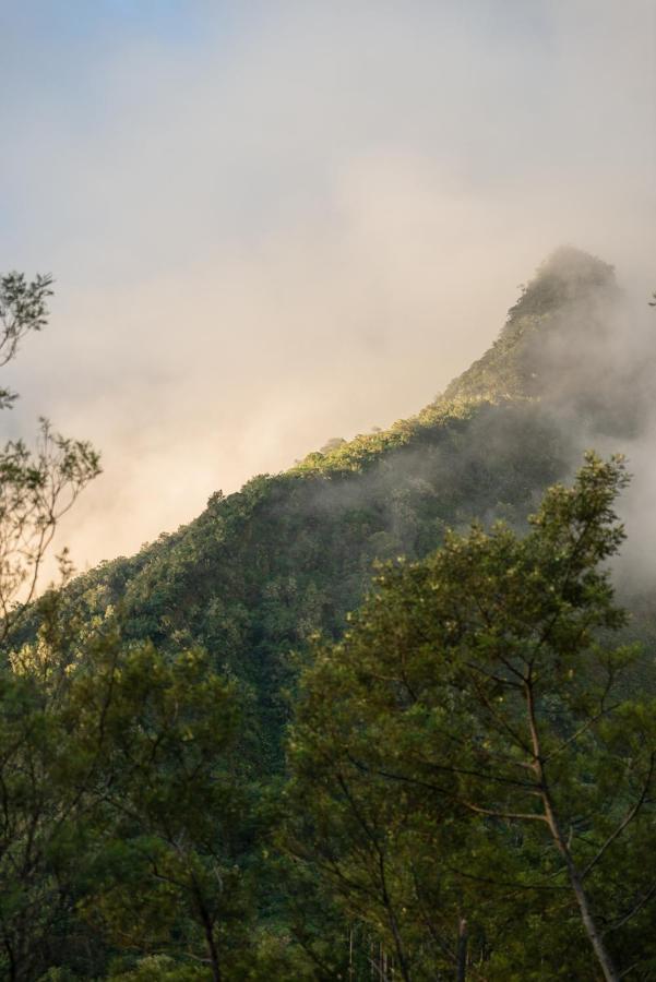 Olatika - Gite Des Cascades Cilaos Buitenkant foto