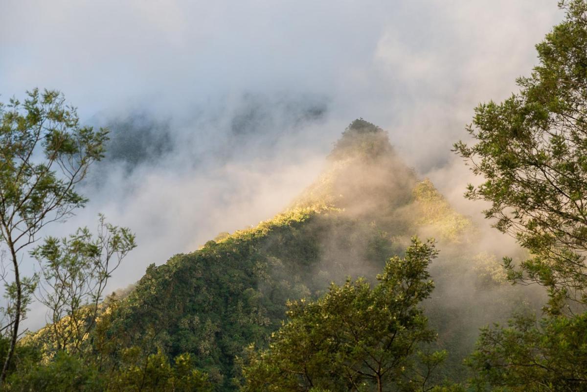 Olatika - Gite Des Cascades Cilaos Buitenkant foto